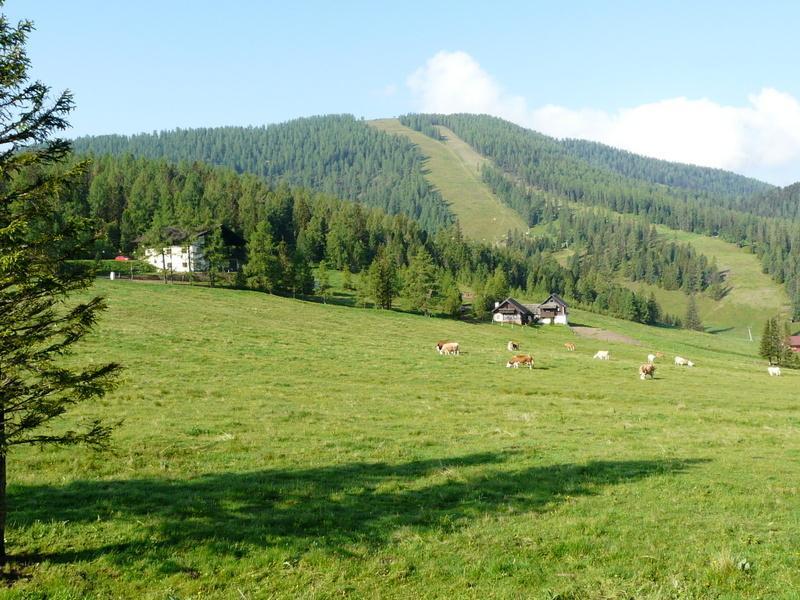 Guest house Gasthof Alpl 3*